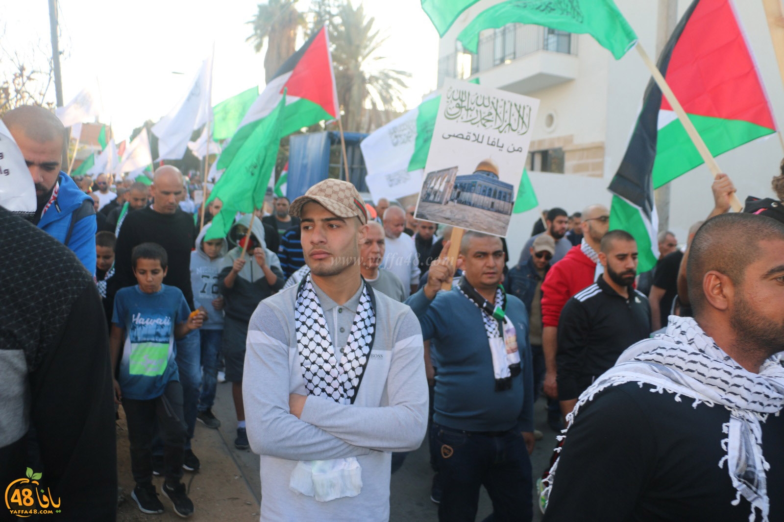 yaffa modahara jeq (65).jpg